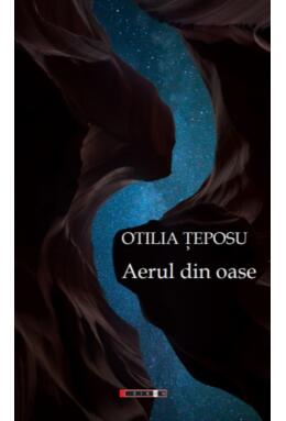 Copertă produs Aerul din oase
