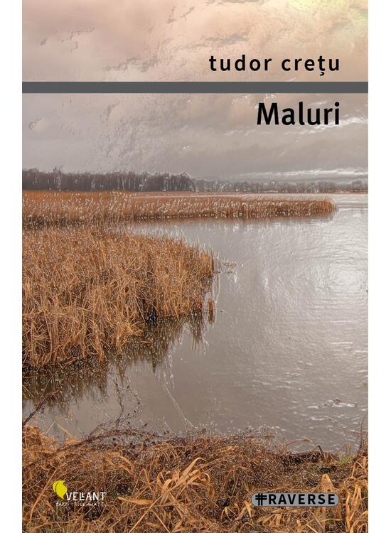 Copertă produs Maluri - gallery big 1