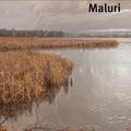 Copertă produs Maluri - gallery small 