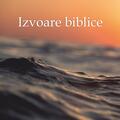 Copertă produs Izvoare biblice - gallery small 