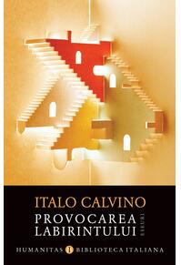 Copertă produs Provocarea labirintului