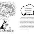 Copertă produs Băiatul care zbura cu dragoni (Vol. 3) - gallery small 