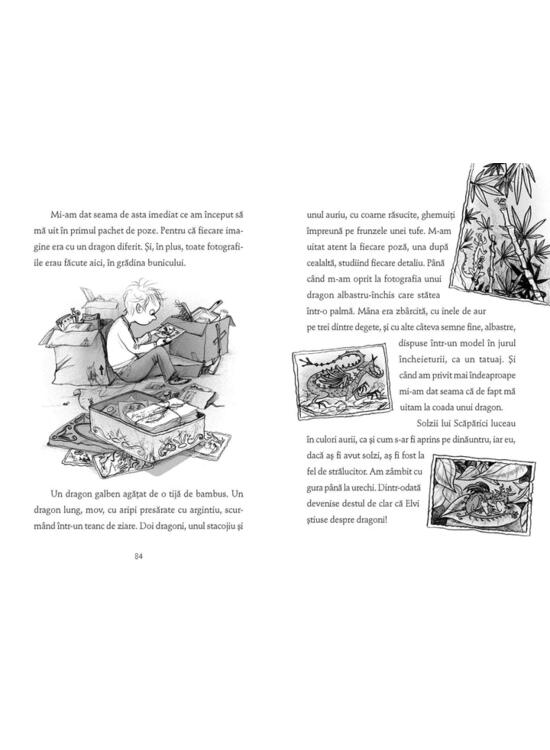 Copertă produs Băiatul care zbura cu dragoni (Vol. 3) - gallery big 3