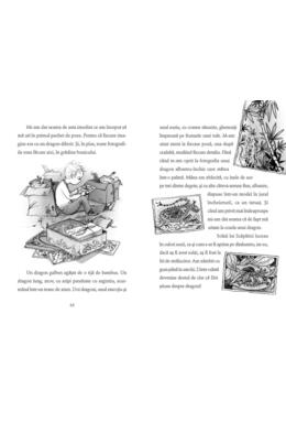 Copertă produs Băiatul care zbura cu dragoni (Vol. 3)