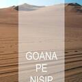 Copertă produs Goana pe nisip - gallery small 
