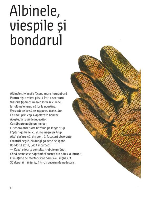 Copertă produs &Icirc;ntr-un bar din Zanzibar - gallery big 3