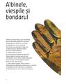 Copertă produs &Icirc;ntr-un bar din Zanzibar - thumb 3