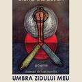 Copertă produs Umbra zidului meu - gallery small 