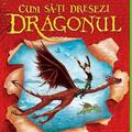Copertă produs Cum să-ți dresezi dragonul (Vol. 1) - gallery small 