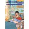 Copertă produs Nick și Charlie