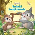 Copertă produs Bocănilă &icirc;nvață formele - gallery small 