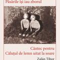 Copertă produs Calul Moare. Păsările &icirc;si iau Zborul - C&acirc;ntec pentru căluțul de lemn uitat la soare - gallery small 