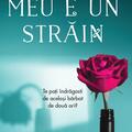 Copertă produs Soțul meu e un străin - gallery small 