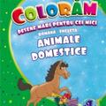 Copertă produs Animale domestice. Desene mari pentru cei mici rom&acirc;nă-engleză - gallery small 