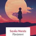 Copertă produs Păm&acirc;nteni - gallery small 