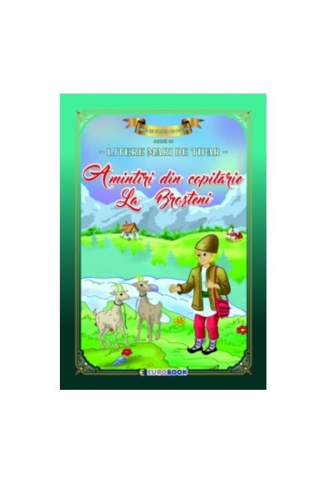Copertă produs Amintiri din copilărie - La Broșteni