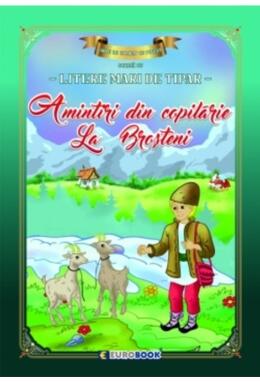 Copertă produs Amintiri din copilărie - La Broșteni