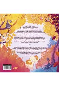 Copertă produs Fanni și gemenii arțăgoși (Vol. 6)