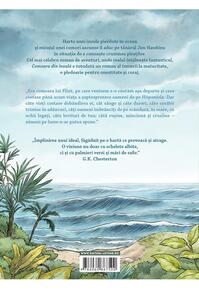 Copertă produs Comoara din insulă