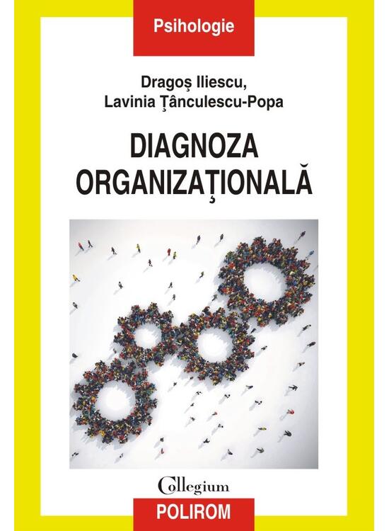 Copertă produs Diagnoza organizaţională - gallery big 1