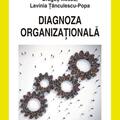 Copertă produs Diagnoza organizaţională - gallery small 