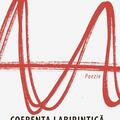 Copertă produs Coerența labirintică - gallery small 