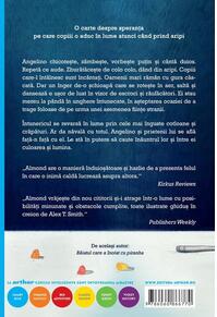 Copertă produs Povestea lui Angelino Brown