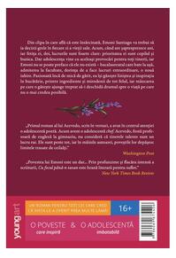 Copertă produs Cu focul până-n tavan