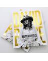 Copertă produs David Bowie. Metamorfoze - thumb 5