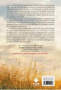 Copertă produs Începuturi fără sfârșit