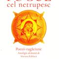 Copertă produs Focul cel netrupesc - gallery small 