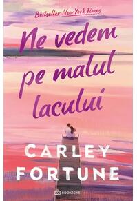 Copertă produs Ne vedem pe malul lacului