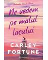 Copertă produs Ne vedem pe malul lacului - thumb 1