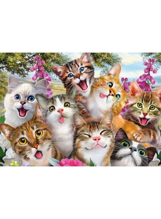 Copertă produs Puzzle 500 piese Schmidt: Selfie cu pisici - gallery big 1