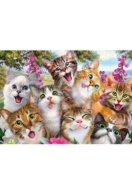 Copertă produs Puzzle 500 piese Schmidt: Selfie cu pisici