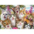 Copertă produs Puzzle 500 piese Schmidt: Selfie cu pisici - gallery small 