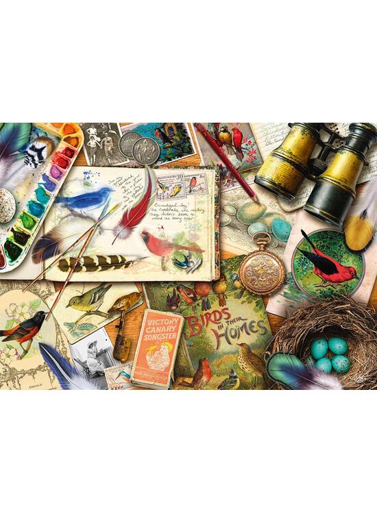 Copertă produs Puzzle 1000 piese Schmidt: Aimee Stewart - Observarea păsărilor - gallery big 2