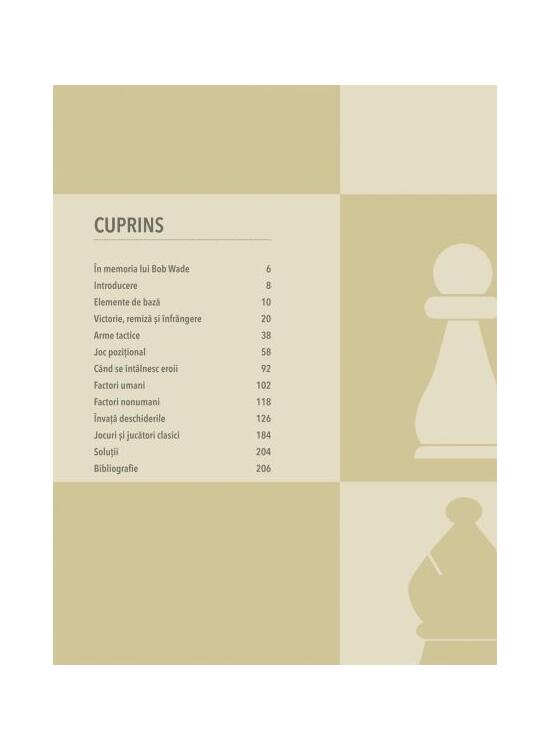 Copertă produs Manual de șah. De la &icirc;ncepător la maestru - gallery big 5