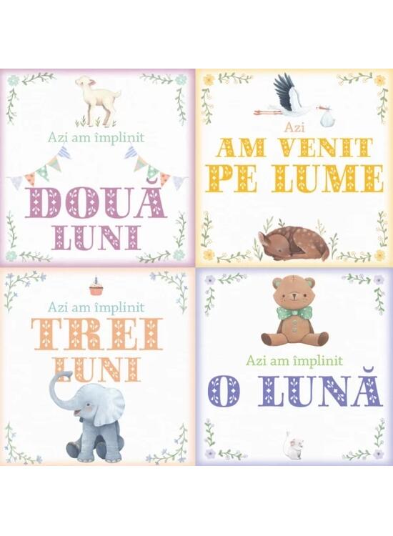 Copertă produs Albumul Bebelușului. Cele mai frumoase amintiri din primul an de viața al copilului meu (24 de cartonașe cu evenimente importante) - gallery big 2