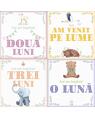 Copertă produs Albumul Bebelușului. Cele mai frumoase amintiri din primul an de viața al copilului meu (24 de cartonașe cu evenimente importante) - thumb 2