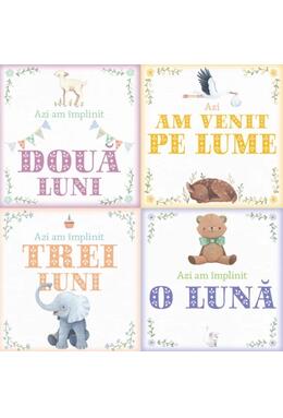 Copertă produs Albumul Bebelușului. Cele mai frumoase amintiri din primul an de viața al copilului meu (24 de cartonașe cu evenimente importante)
