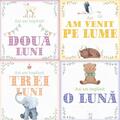 Copertă produs Albumul Bebelușului. Cele mai frumoase amintiri din primul an de viața al copilului meu (24 de cartonașe cu evenimente importante) - gallery small 