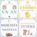 Copertă produs Albumul Bebelușului. Cele mai frumoase amintiri din primul an de viața al copilului meu (24 de cartonașe cu evenimente importante) - gallery small 