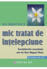 Copertă produs Mic tratat de înțelepciune