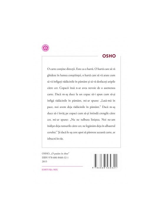 Copertă produs O pasăre în zbor - gallery big 2