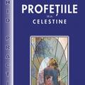 Copertă produs Profeţiile de la Celestine - ghid practic - gallery small 