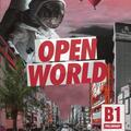 Copertă produs Open World Preliminary B1 Workbook without Answers with Audio Download - gallery small 