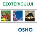 Copertă produs Psihologia ezotericului - gallery small 