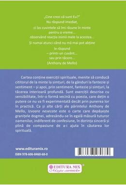 Copertă produs Izvoare nesecate