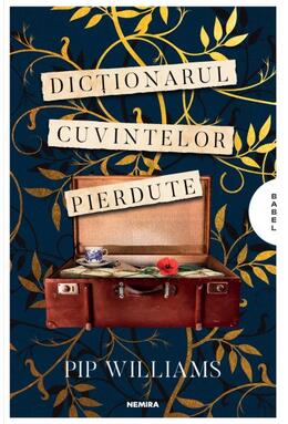 Copertă produs Dicționarul cuvintelor pierdute